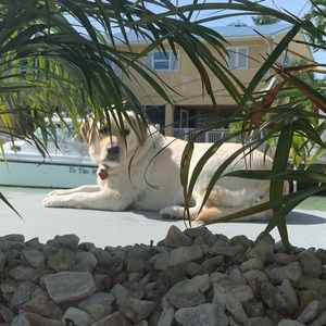 Meet your Posher, Cailie! 🌞🌺🦋🌴🌿🍻